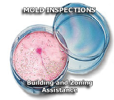 MOLD INSPECTIONS