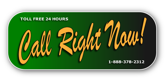 (305) 256-4886