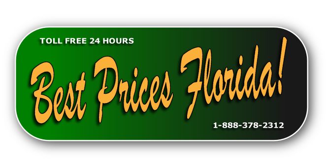 (305) 256-4886